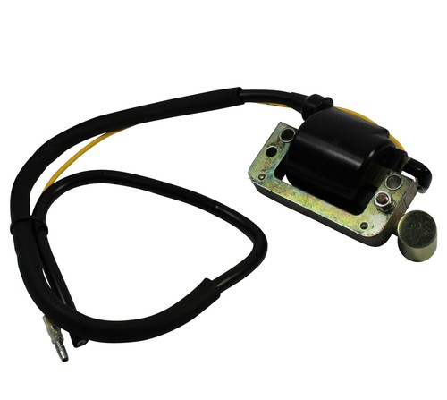 Zündspule elec für - -,